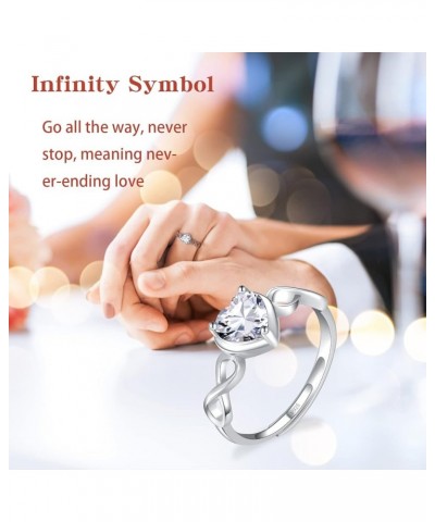 Birthstone Infinity Heart Ring for Women 925 Sterling Silver Adjustable Open Infinity Symbol Promise Cubic Zirconia Dainty En...