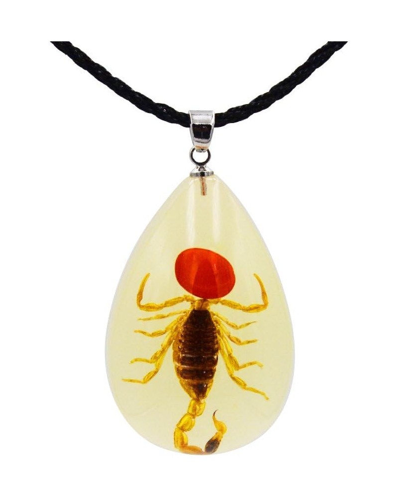 Real Scorpion Necklace, Real Scorpion Pendant Necklace Fluorescent Bean Large Brown Scorpion $8.50 Necklaces