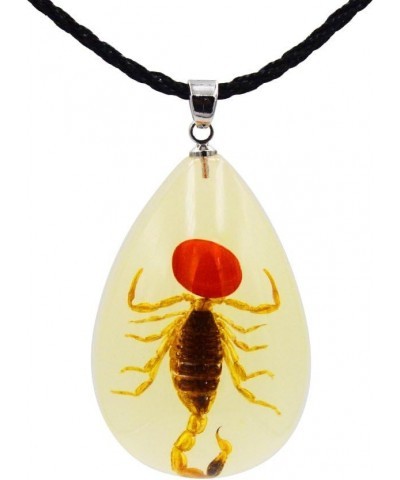 Real Scorpion Necklace, Real Scorpion Pendant Necklace Fluorescent Bean Large Brown Scorpion $8.50 Necklaces