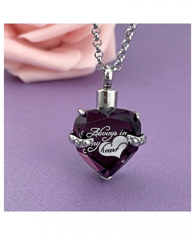 Urn Necklaces for Ashes Always in My Heart Heart Cremation Jewelry Memorial Pendant Birthstone Necklace February URN $10.44 N...