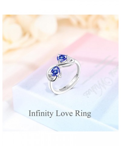 Birthstone Ring for Women, Infinity Love Heart Ring for Her, Sterling S925 Silver Cubic Zirconia, Birthday Jewelry Friendship...