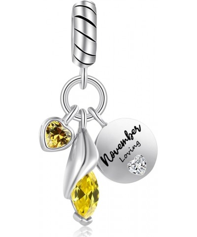 12 Teardrop Birthstone Birthday Charm for Pandora Bracelet Gift for Her Nov Teardrop $8.83 Bracelets