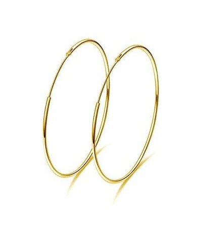 Big Hoop Earrings S925 Sterling Silver Fashion Minimalist Large Huggei Round Endless Hoops Basketball Earring 60/70/80mm Hypo...