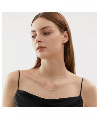 CZ Star Y Necklace for Women Teen Girls 925 Sterling Silver Star Choker Necklace Chain Pendant Necklace C-Rose Gold $11.28 Ne...