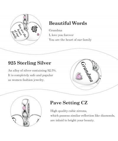 Mother Sister Daughter Wife Charms Fit Pandora Charms Bracelet with Double Heart Love Charms 925 Sterling Silver Beads for Wo...