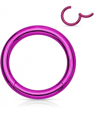 Pair of 316L Surgical Steel Hinged Segment WildKlass Rings 16g 8mm Purple $6.06 Body Jewelry