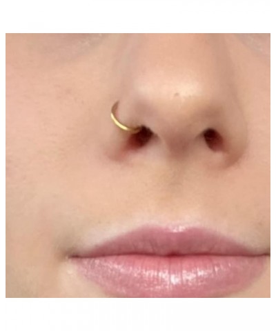 Nose Rings Nose Piercings Nose Rings Hoops Nose Ring Surgical Steel Nose Ring 20g Nose Piercings Jewelry Double Hoop Nose Rin...