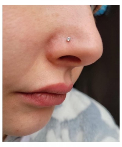 Nose Rings Nose Piercings Nose Rings Hoops Nose Ring Surgical Steel Nose Ring 20g Nose Piercings Jewelry Double Hoop Nose Rin...