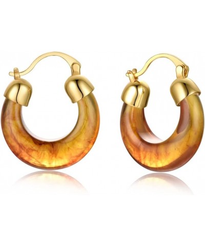 Acrylic Hoop Earrings Geometric Resin Minimalist Statement Chunky Hoops for Women D: brown round $9.35 Earrings