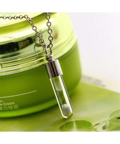 Blood Vial Necklace Stainless Steel Glass Heart Vial Perfume Bottle Cremation Urn Pendant Necklace for Women Keepsake Memoria...