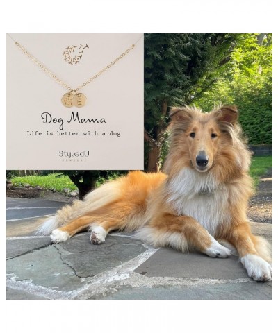 Personalized Dog Paw Necklace for Women, 14k Gold Filled Initial Jewelry for Dog Lovers T $17.98 Necklaces