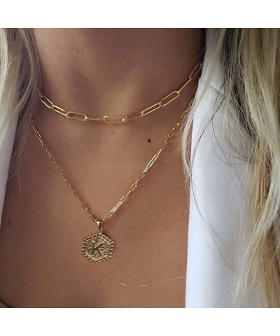 Dainty Layered Initial Necklaces for Women, 14K Gold Plated Paperclip Chain Necklace Simple Cute Hexagon Letter Pendant Initi...