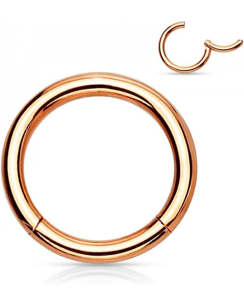 Pair of 316L Surgical Steel Hinged Segment WildKlass Rings 14g 10mm Rose Gold $6.06 Body Jewelry