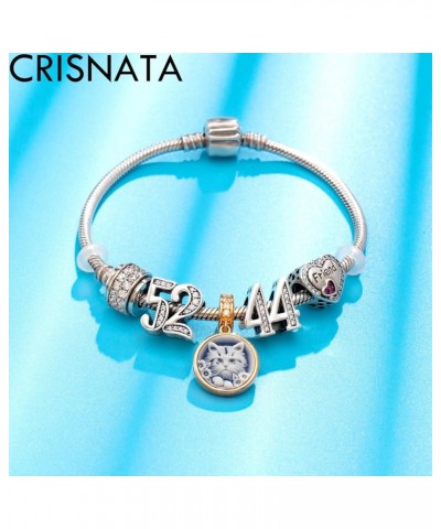 5,10 to 50 52 55 56 60 65 70 75 80 Birthday Charms fits European Anniversary Bracelets, 925 Sterling Silver Number Charms wit...